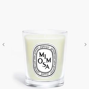 Small Candles Diptyque 35g